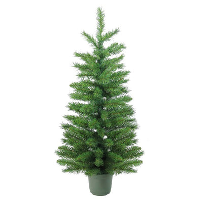 32619383 Holiday/Christmas/Christmas Trees