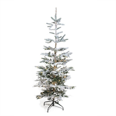 Product Image: 32276617 Holiday/Christmas/Christmas Trees