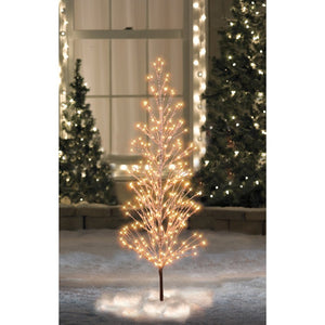 33841560 Holiday/Christmas/Christmas Trees