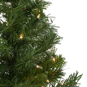 32266699 Holiday/Christmas/Christmas Trees