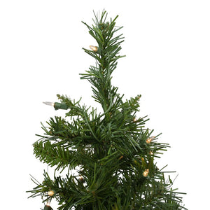 32266699 Holiday/Christmas/Christmas Trees