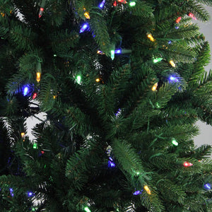 32915560 Holiday/Christmas/Christmas Trees