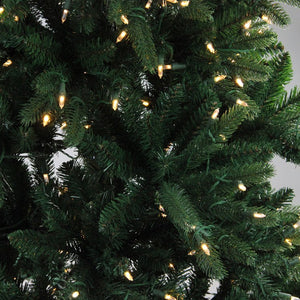 32915561 Holiday/Christmas/Christmas Trees