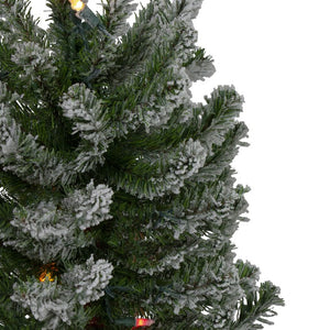 33532709 Holiday/Christmas/Christmas Trees