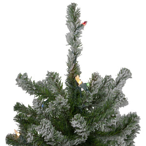 33532709 Holiday/Christmas/Christmas Trees