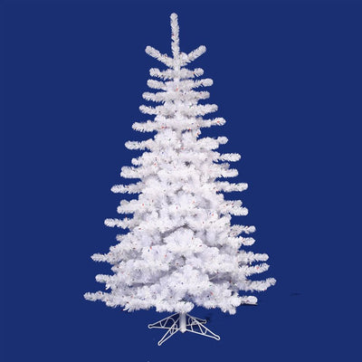 11264200 Holiday/Christmas/Christmas Trees