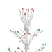 32606088 Holiday/Christmas/Christmas Trees