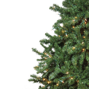 32621836 Holiday/Christmas/Christmas Trees