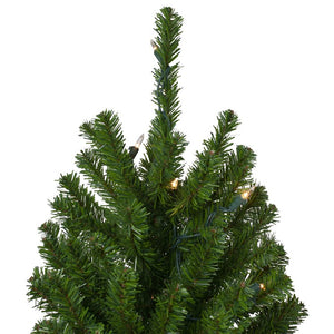 33532710 Holiday/Christmas/Christmas Trees