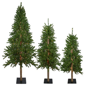 6' Pre-Lit Slim Alpine Artificial Christmas Trees Set of 3 - Clear Lights