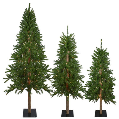 33532710 Holiday/Christmas/Christmas Trees