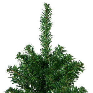 32272500 Holiday/Christmas/Christmas Trees