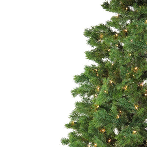 32637806 Holiday/Christmas/Christmas Trees