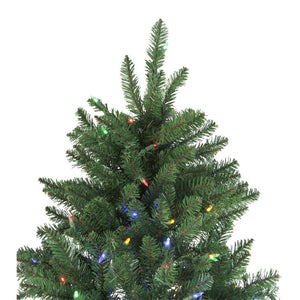 32915566 Holiday/Christmas/Christmas Trees