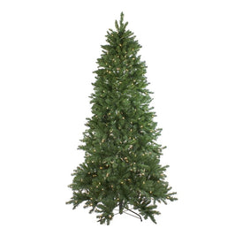 9' Pre-Lit Instant Connect Neola Fraser Fir Artificial Christmas Tree - Dual LED Lights