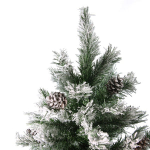 32623764 Holiday/Christmas/Christmas Trees