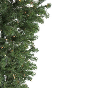 32265435 Holiday/Christmas/Christmas Trees
