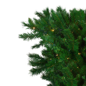 33388907 Holiday/Christmas/Christmas Trees
