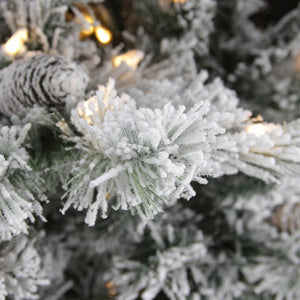 31464769 Holiday/Christmas/Christmas Trees