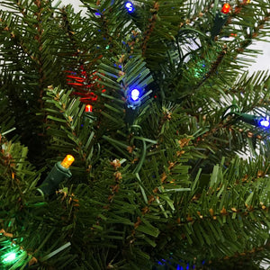 31748699 Holiday/Christmas/Christmas Trees