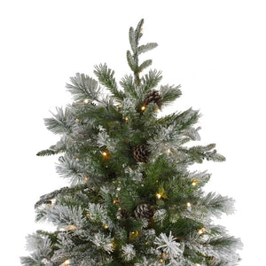 33388940 Holiday/Christmas/Christmas Trees