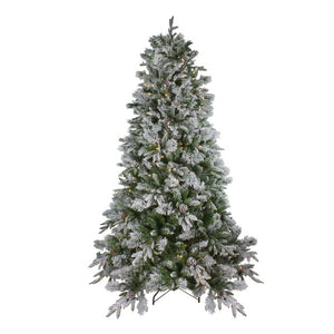 33388940 Holiday/Christmas/Christmas Trees