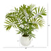 P1467 Decor/Faux Florals/Plants & Trees