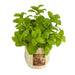P1475-GR Decor/Faux Florals/Plants & Trees