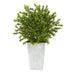 P1479 Decor/Faux Florals/Plants & Trees