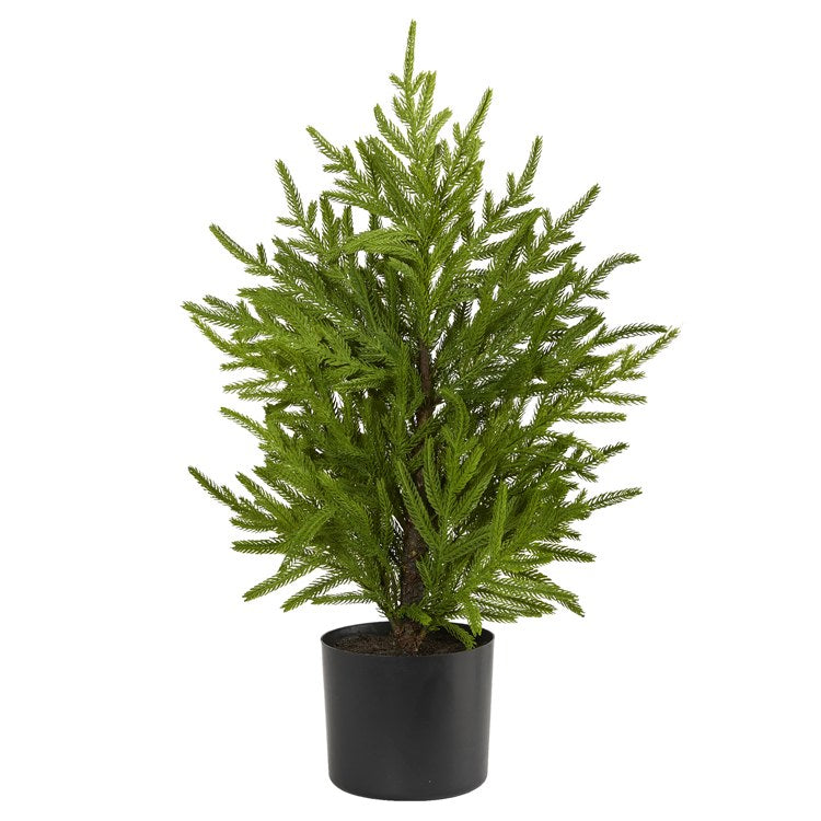 Product Image: T1502 Holiday/Christmas/Christmas Trees
