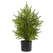 T1502 Holiday/Christmas/Christmas Trees