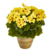P1442-YL Decor/Faux Florals/Plants & Trees