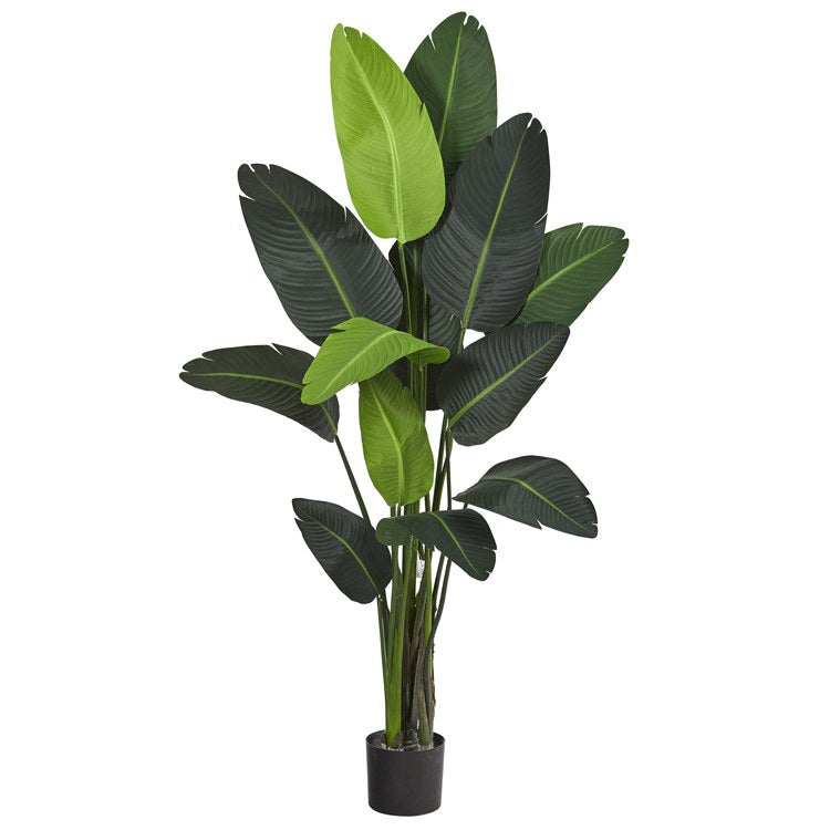 Product Image: T1008 Decor/Faux Florals/Plants & Trees