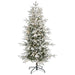 T1975 Holiday/Christmas/Christmas Trees