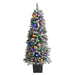 T1449 Holiday/Christmas/Christmas Trees