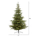 T1885 Holiday/Christmas/Christmas Trees