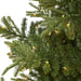 T1885 Holiday/Christmas/Christmas Trees