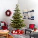 T1885 Holiday/Christmas/Christmas Trees
