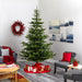 T1885 Holiday/Christmas/Christmas Trees