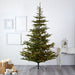 T1885 Holiday/Christmas/Christmas Trees