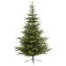 T1885 Holiday/Christmas/Christmas Trees
