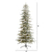 T1856 Holiday/Christmas/Christmas Trees
