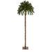 T1453 Holiday/Christmas/Christmas Trees
