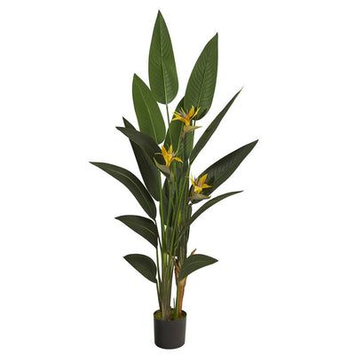 Product Image: P1309 Decor/Faux Florals/Plants & Trees