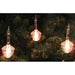 32913373 Holiday/Christmas/Christmas Lights