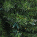 32913299 Holiday/Christmas/Christmas Wreaths & Garlands & Swags