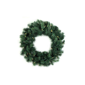24" Pre-Lit Washington Frasier Fir Artificial Christmas Wreath with Clear Lights
