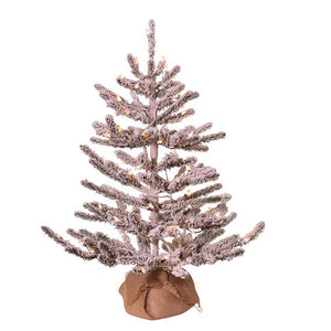 TR2484 Holiday/Christmas/Christmas Trees