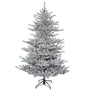 TR2485 Holiday/Christmas/Christmas Trees