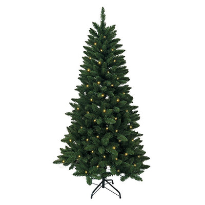TR2421PL Holiday/Christmas/Christmas Trees